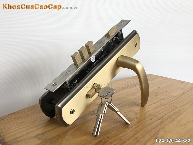 Kh&oacute;a cửa ch&iacute;nh Huy Ho&agrave;ng HCX8566 - ảnh 1
