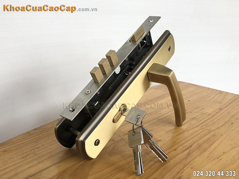 Khóa đồng cửa đi Huy Hoàng HCX8568 - ảnh 1