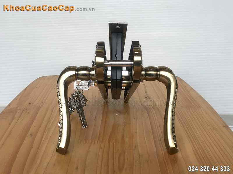 Kh&oacute;a Huy Ho&agrave;ng cửa gỗ EX-8561 - ảnh 2